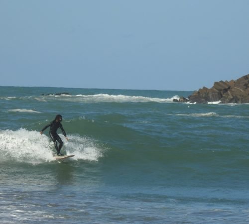 DSCN7937